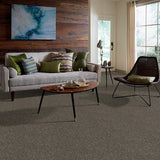 STAINMASTER PetProtect Baxter I Doberman Textured Carpet (Indoor)