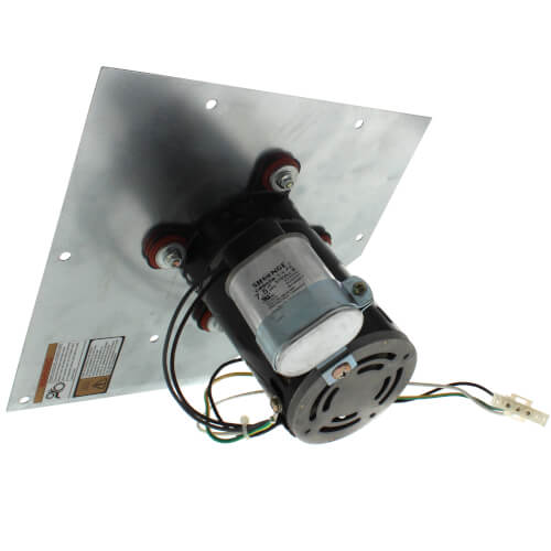 Packard 66312 inducer motor - detail view (Voltage: 115V; Horse Power: 1/8)