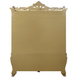 ACME FURNITURE Transitional Gold Finish Wood Curio Cabinet