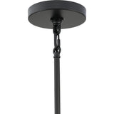Progress Lighting Rivera 4-Light Matte Black Craftsman Chandelier