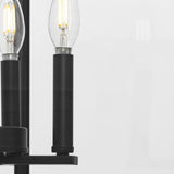 Progress Lighting Hillcrest 4-Light Matte Black Transitional Chandelier