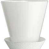Progress Lighting Pinellas 6-Light White Modern/Contemporary Chandelier