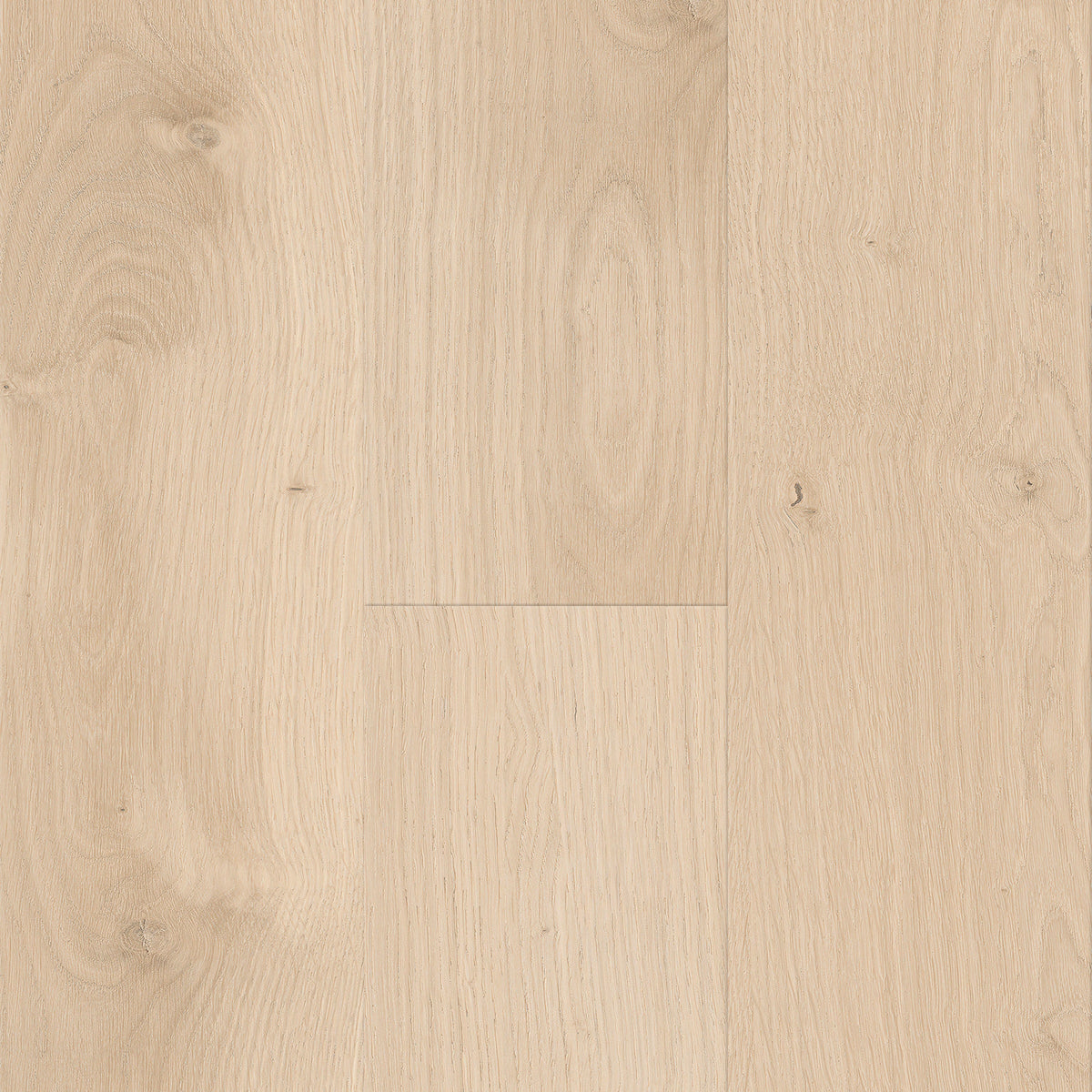 CALI Windansea High Tide Breakers Beach Vinyl Plank Sample - Waterproof, Scratch-Resistant