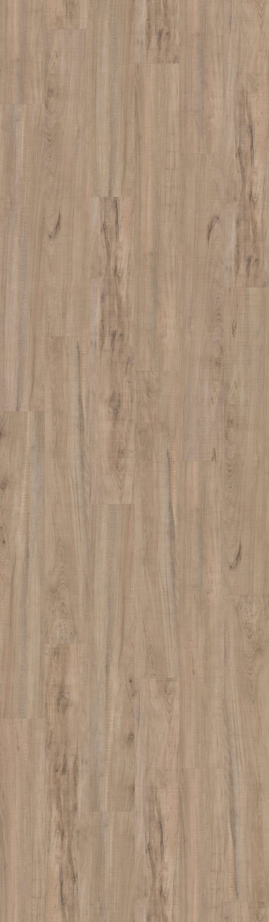 Shaw Reflection 12 South Beach Brown 12-mil x 7-in W x 48-in L Waterproof Glue Down Luxury Vinyl Plank Flooring (35-sq ft/ Carton)