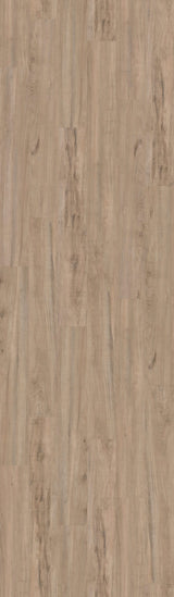Shaw Reflection 12 South Beach Brown 12-mil x 7-in W x 48-in L Waterproof Glue Down Luxury Vinyl Plank Flooring (35-sq ft/ Carton)