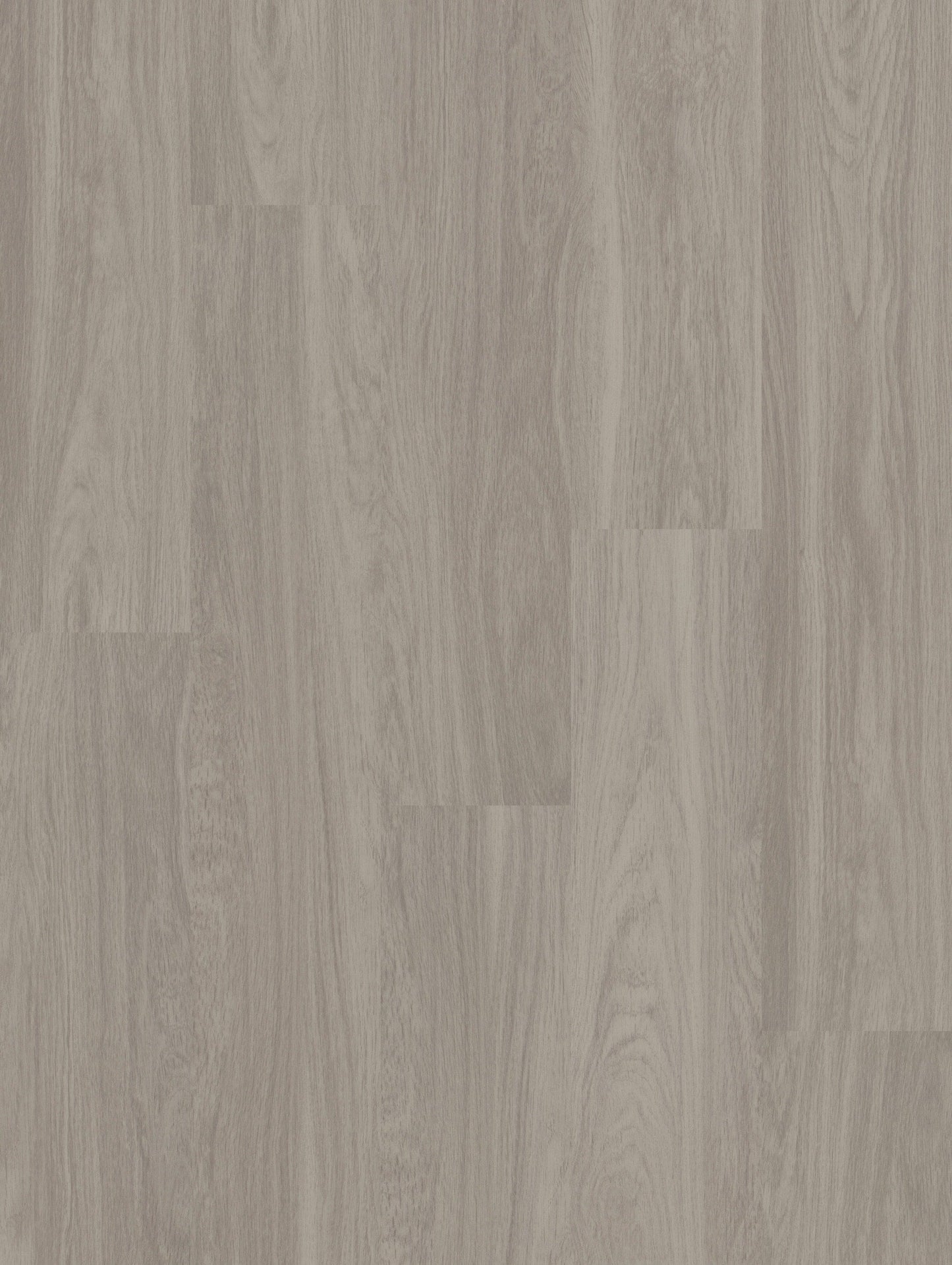Shaw Boundless 8 Paradise Gray 8-mil x 7-in W x 48-in L Waterproof Glue Down Luxury Vinyl Plank Flooring (34.98-sq ft/ Carton)
