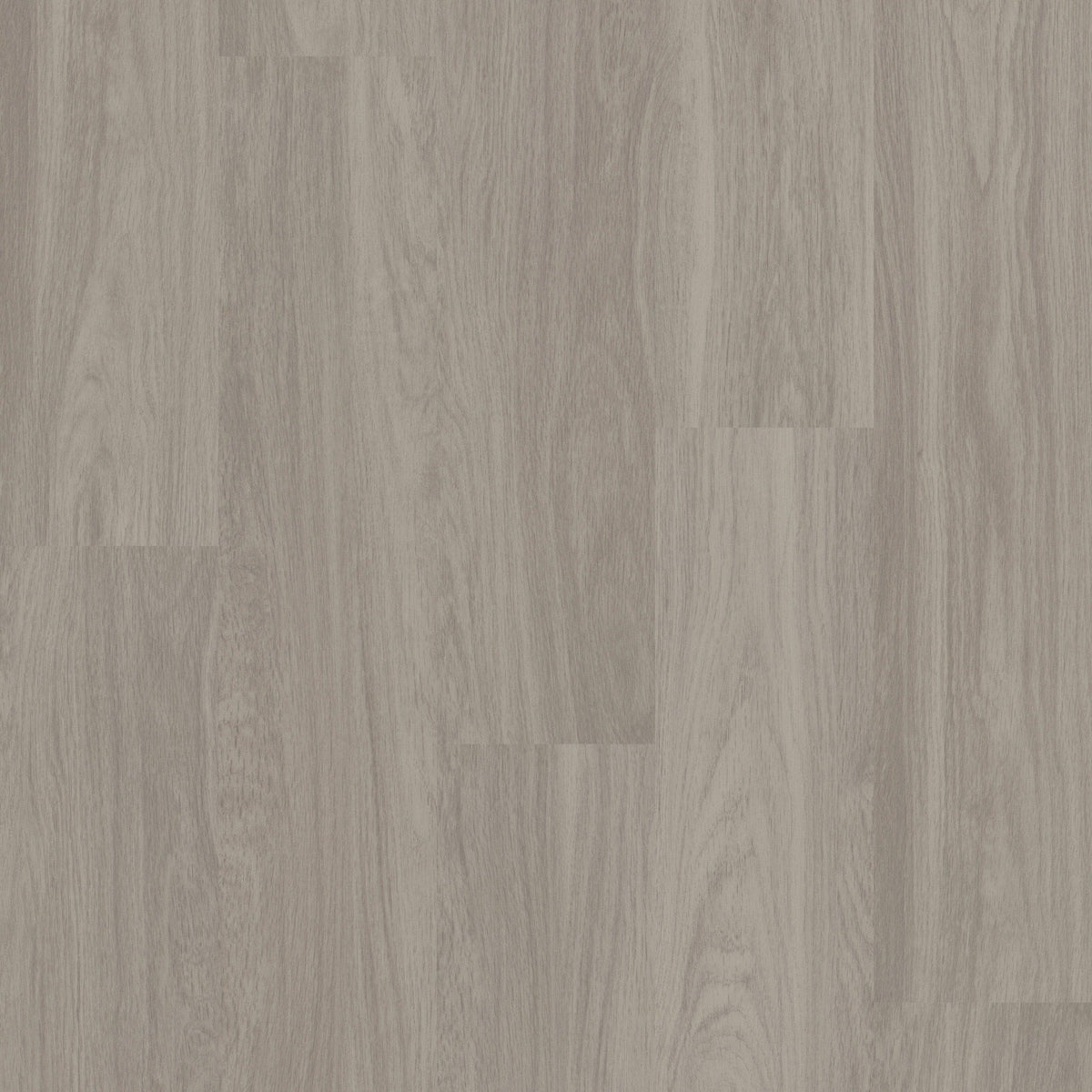 Shaw Boundless 8 Paradise Gray 8-mil x 7-in W x 48-in L Waterproof Glue Down Luxury Vinyl Plank Flooring (34.98-sq ft/ Carton)