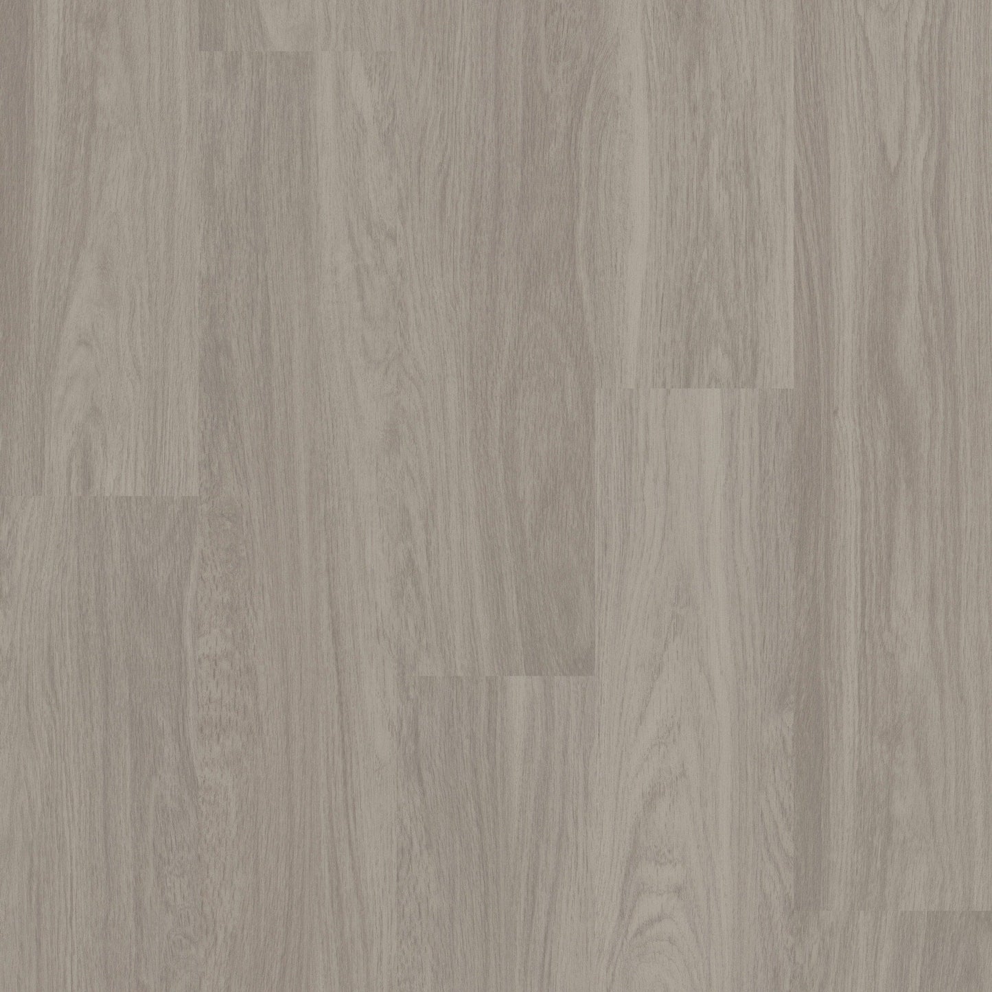 Shaw Boundless 8 Paradise Gray 8-mil x 7-in W x 48-in L Waterproof Glue Down Luxury Vinyl Plank Flooring (34.98-sq ft/ Carton)