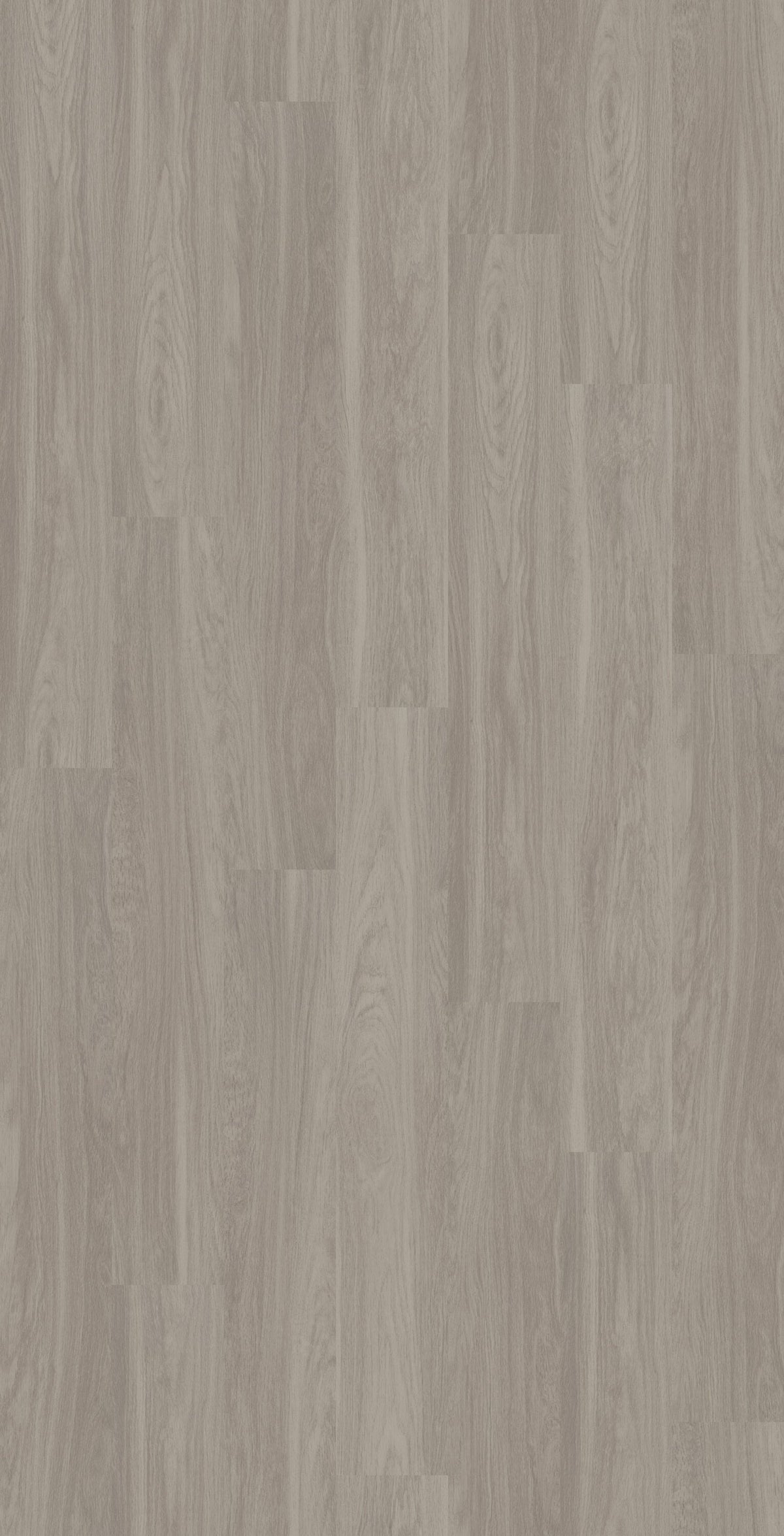 Shaw Boundless 8 Paradise Gray 8-mil x 7-in W x 48-in L Waterproof Glue Down Luxury Vinyl Plank Flooring (34.98-sq ft/ Carton)