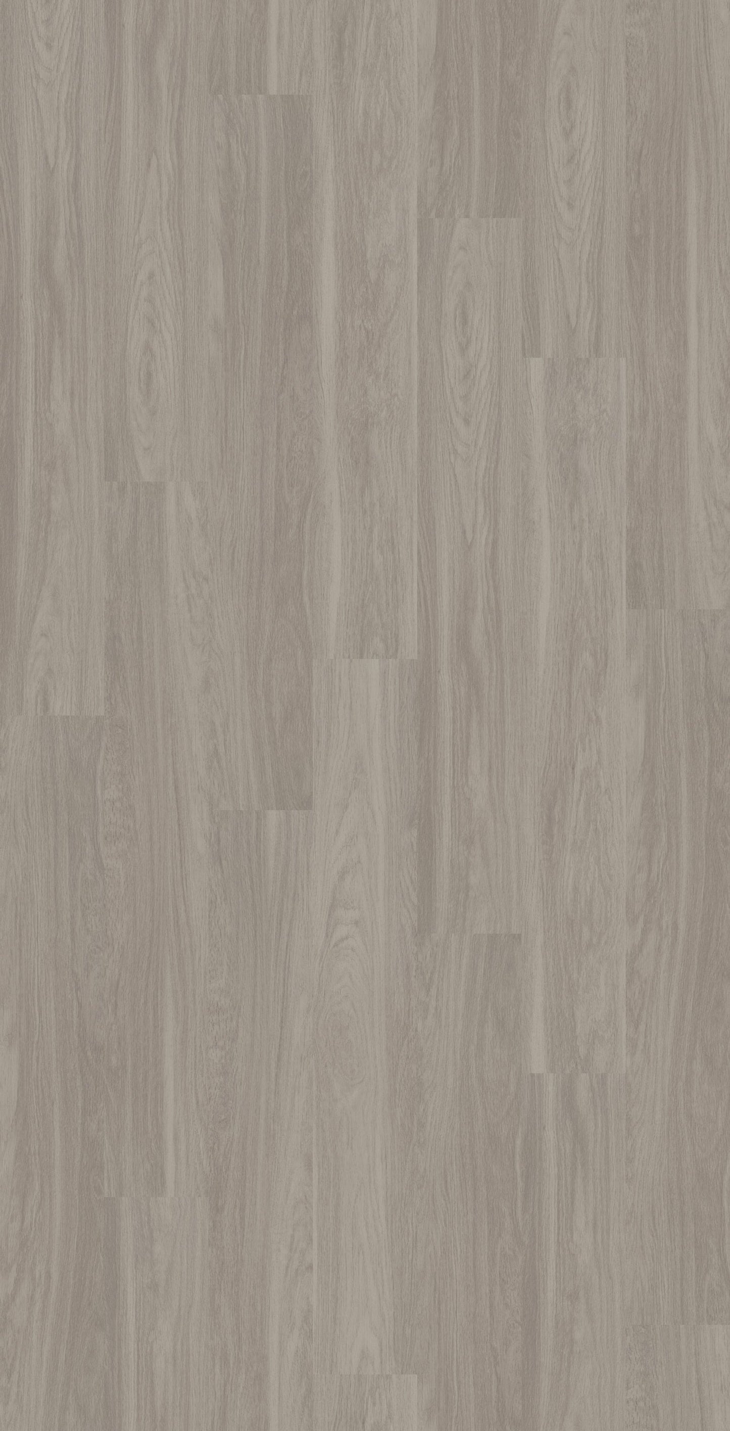 Shaw Boundless 8 Paradise Gray 8-mil x 7-in W x 48-in L Waterproof Glue Down Luxury Vinyl Plank Flooring (34.98-sq ft/ Carton)