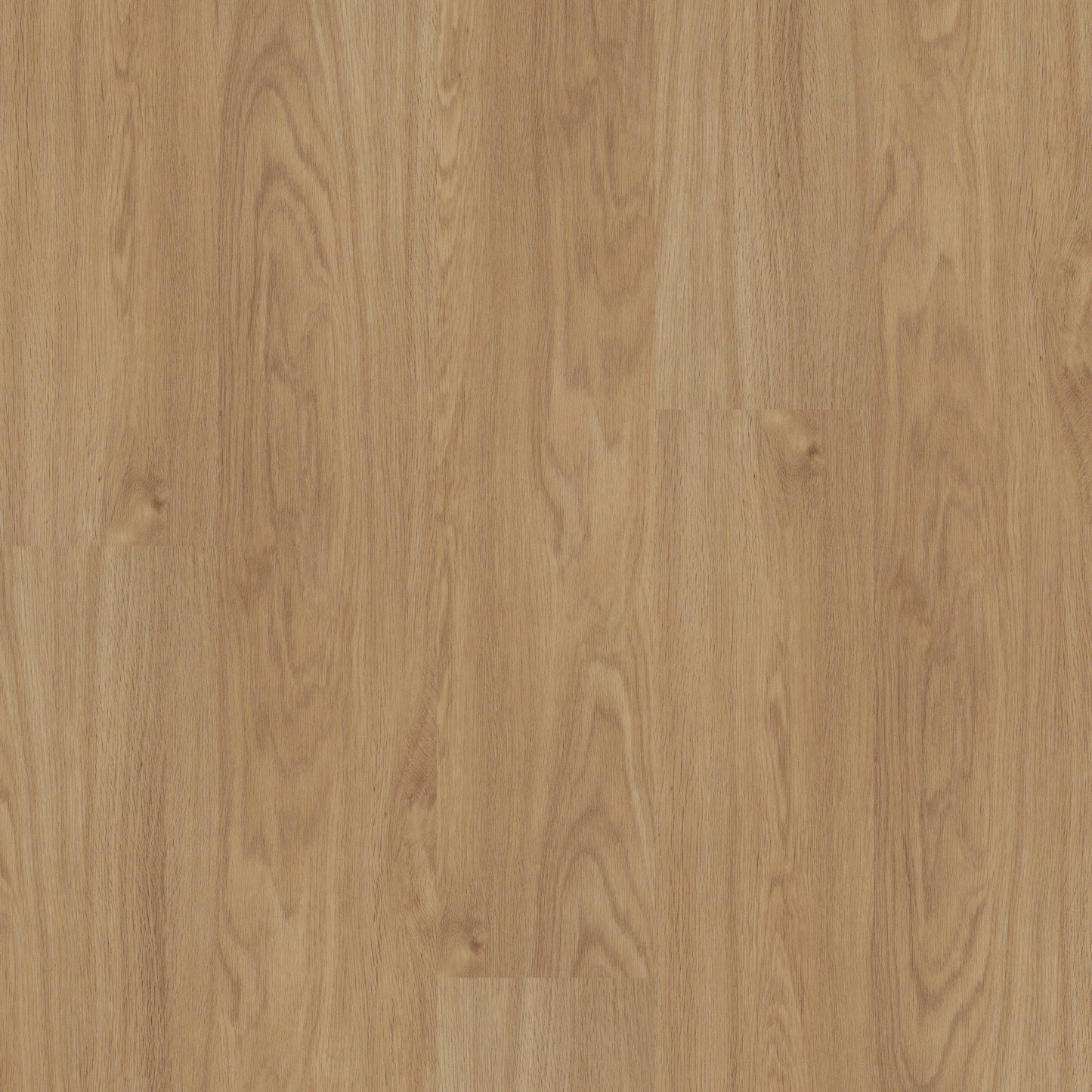 Shaw Boundless 8 Breezy Brown 8-mil x 7-in W x 48-in L Waterproof Glue Down Luxury Vinyl Plank Flooring (34.98-sq ft/ Carton)
