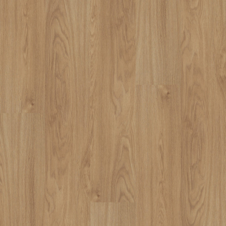 Shaw Boundless 8 Breezy Brown 8-mil x 7-in W x 48-in L Waterproof Glue Down Luxury Vinyl Plank Flooring (34.98-sq ft/ Carton)