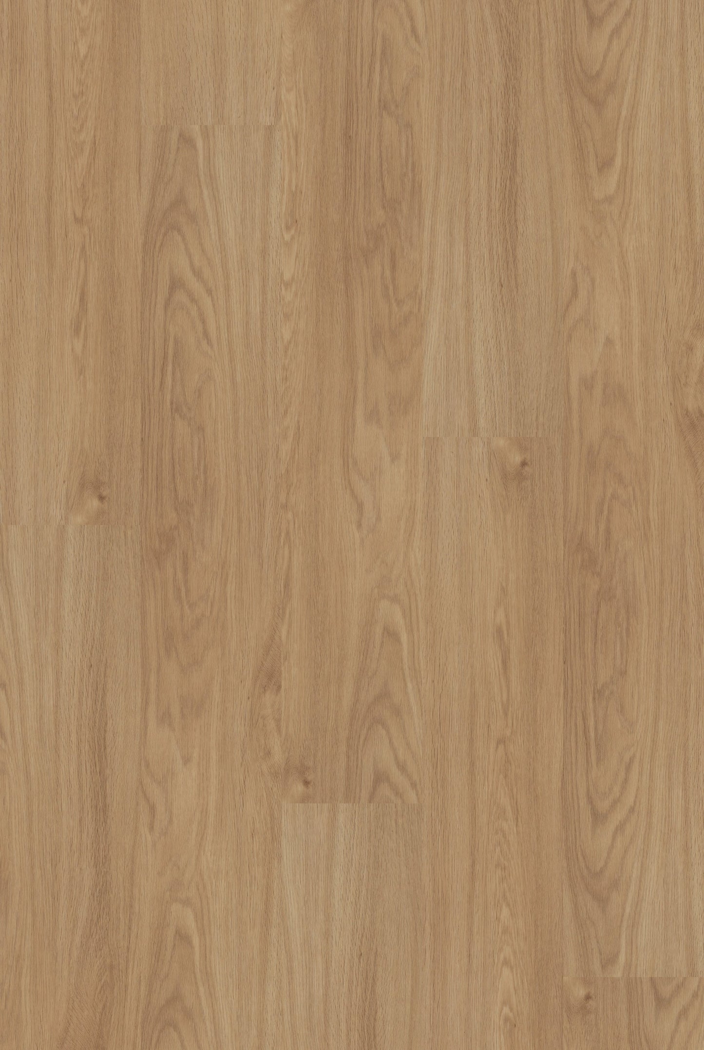 Shaw Boundless 8 Breezy Brown 8-mil x 7-in W x 48-in L Waterproof Glue Down Luxury Vinyl Plank Flooring (34.98-sq ft/ Carton)