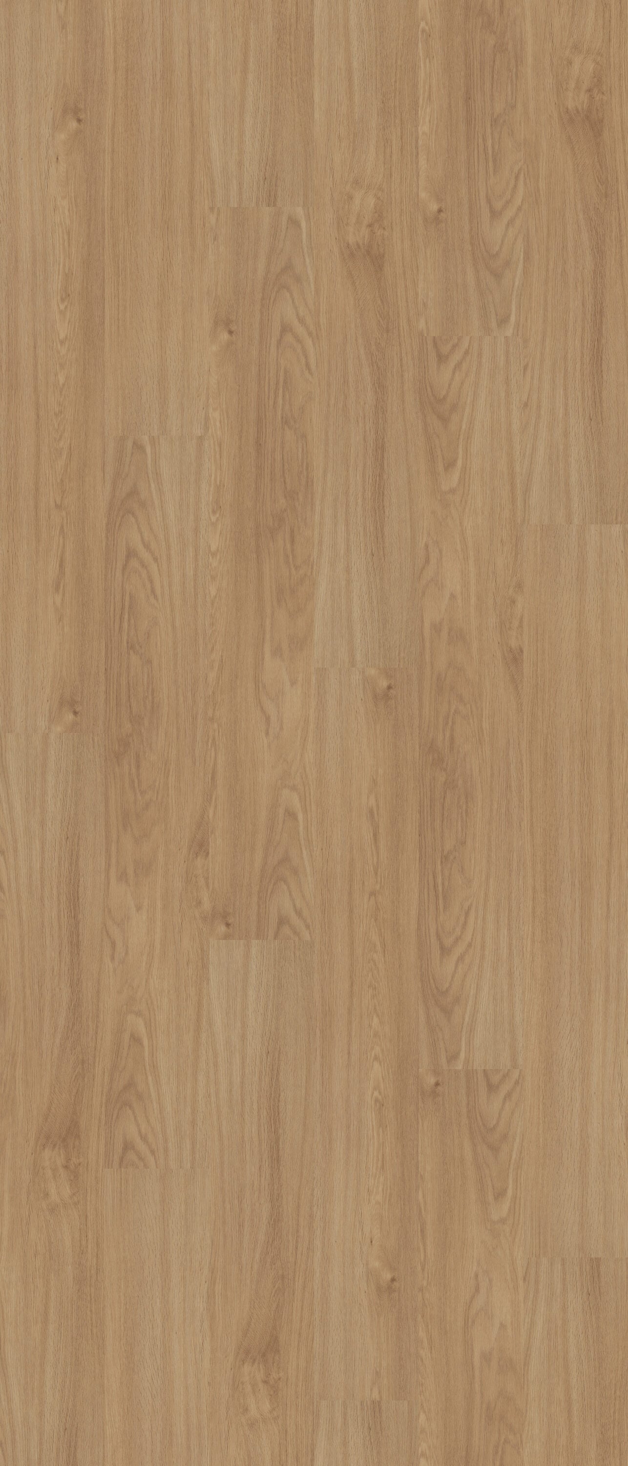 Shaw Boundless 8 Breezy Brown 8-mil x 7-in W x 48-in L Waterproof Glue Down Luxury Vinyl Plank Flooring (34.98-sq ft/ Carton)