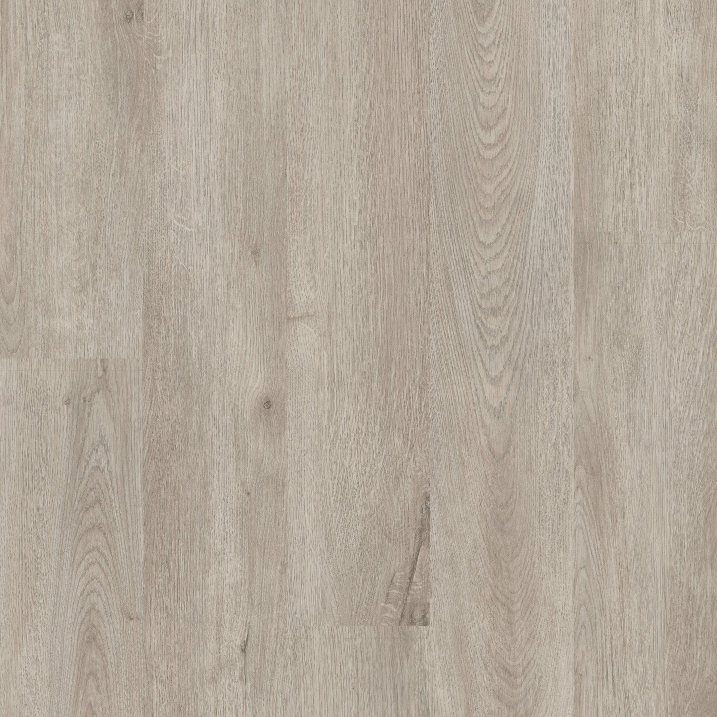 Shaw Perennial Brussels Brown 6-mil x 6-in W x 48-in L Waterproof Glue Down Luxury Vinyl Plank Flooring (53.93-sq ft/ Carton)