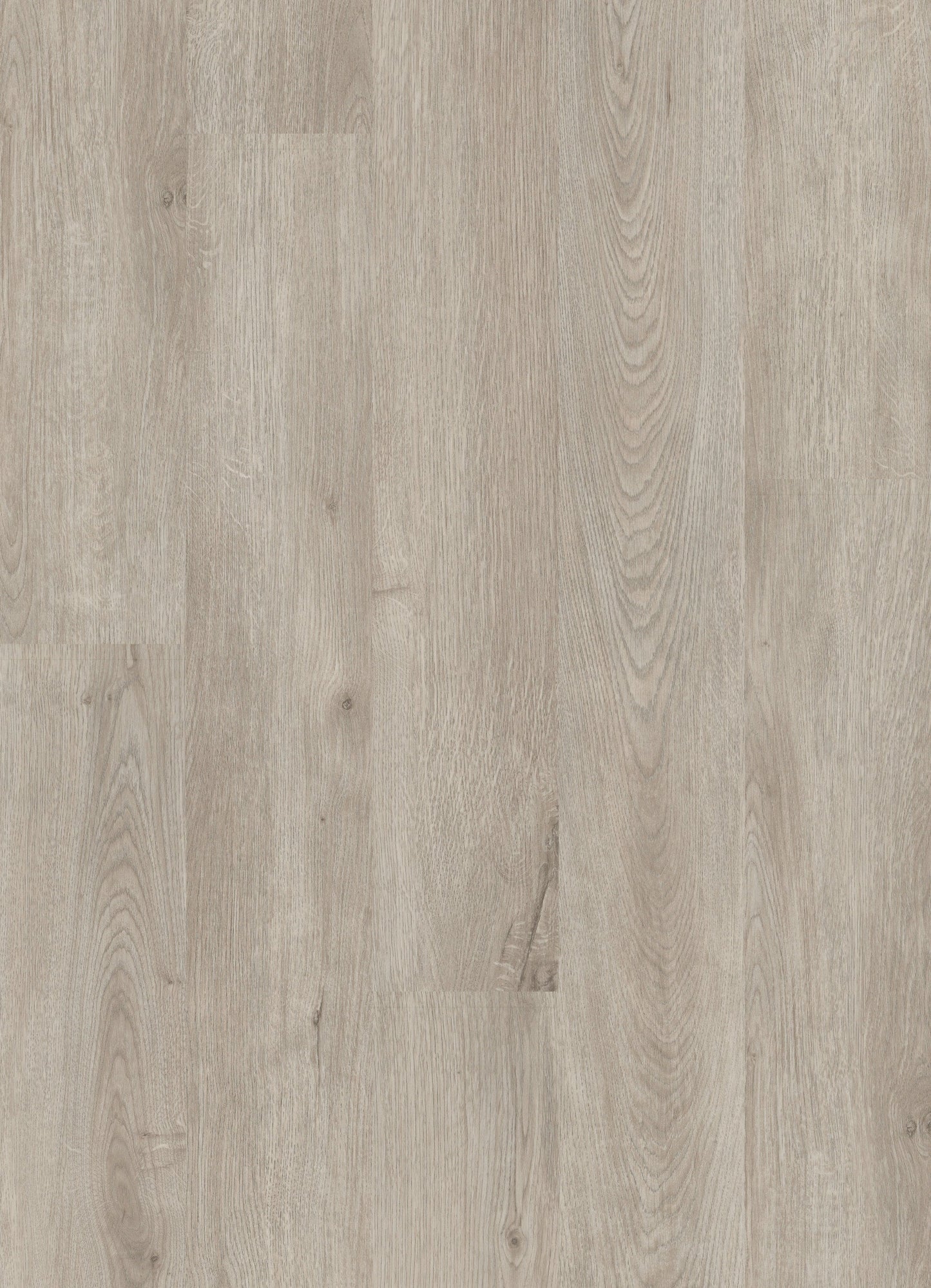 Shaw Perennial Brussels Brown 6-mil x 6-in W x 48-in L Waterproof Glue Down Luxury Vinyl Plank Flooring (53.93-sq ft/ Carton)