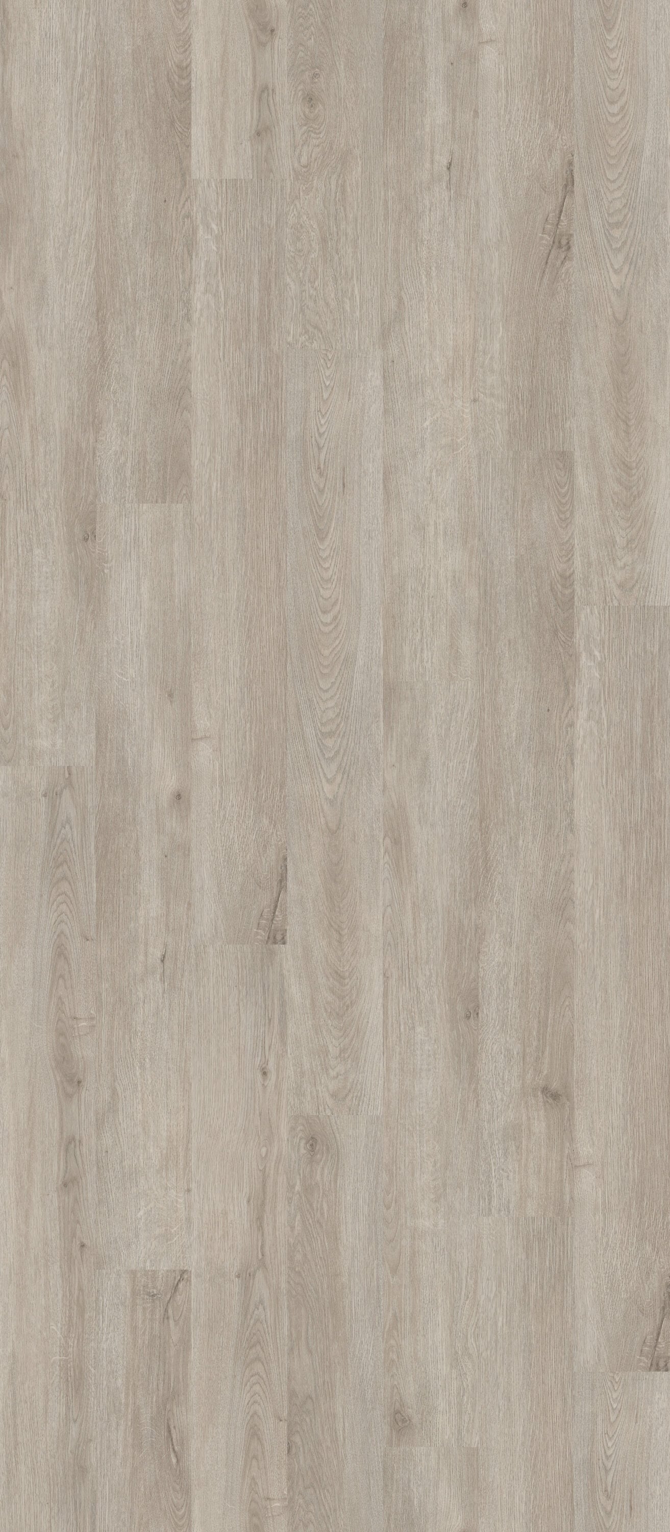 Shaw Perennial Brussels Brown 6-mil x 6-in W x 48-in L Waterproof Glue Down Luxury Vinyl Plank Flooring (53.93-sq ft/ Carton)