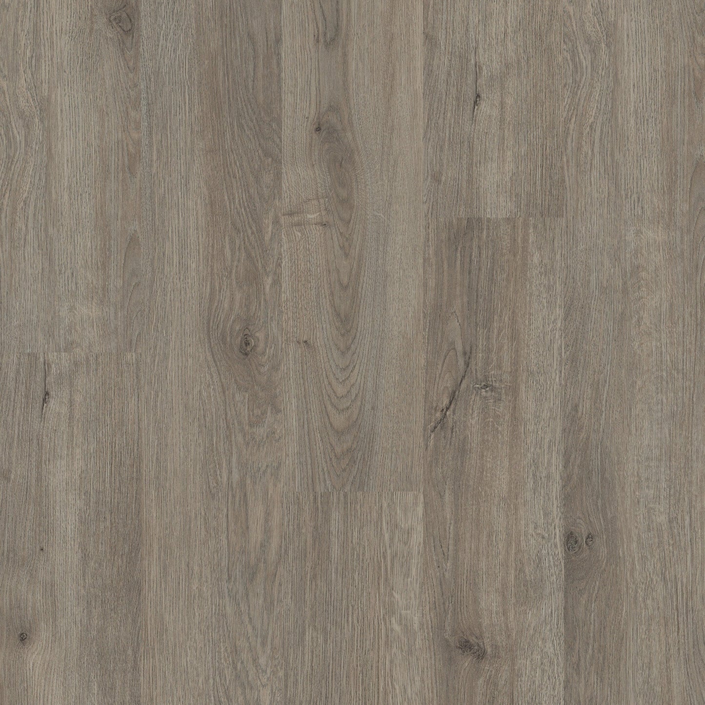Shaw Perennial Brisbane Gray 6-mil x 6-in W x 48-in L Waterproof Glue Down Luxury Vinyl Plank Flooring (53.93-sq ft/ Carton)