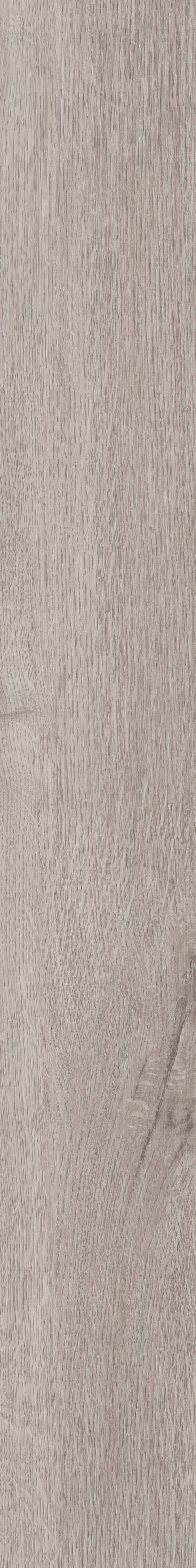 Shaw Perennial Brussels Brown 6-mil x 6-in W x 48-in L Waterproof Glue Down Luxury Vinyl Plank Flooring (53.93-sq ft/ Carton)