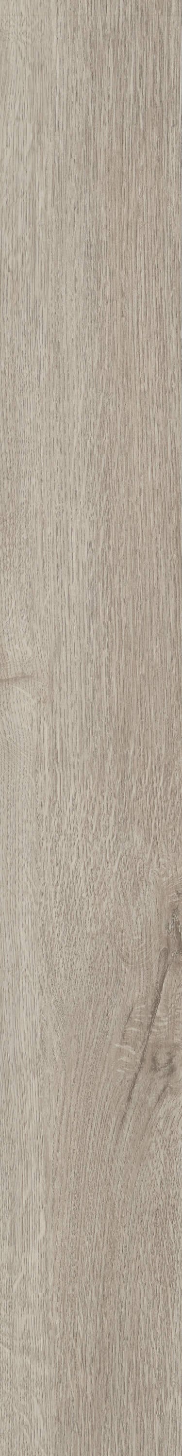 Shaw Perennial Brussels Brown 6-mil x 6-in W x 48-in L Waterproof Glue Down Luxury Vinyl Plank Flooring (53.93-sq ft/ Carton)