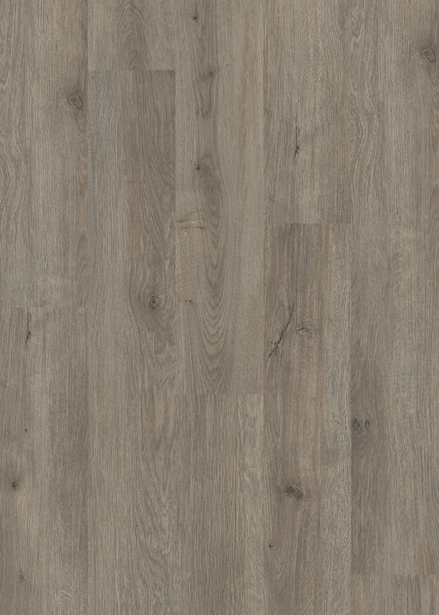Shaw Perennial Brisbane Gray 6-mil x 6-in W x 48-in L Waterproof Glue Down Luxury Vinyl Plank Flooring (53.93-sq ft/ Carton)
