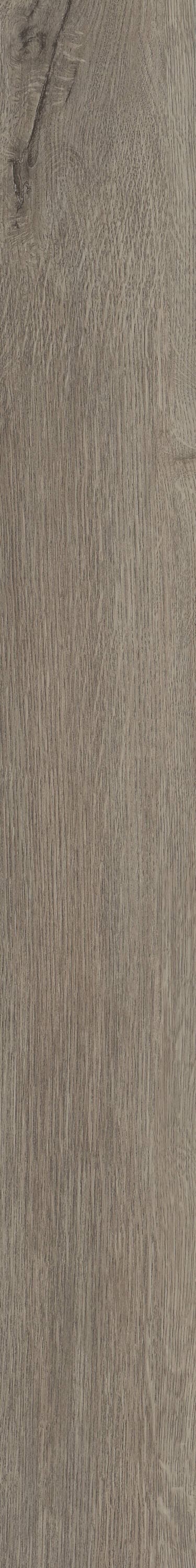 Shaw Perennial Brisbane Gray 6-mil x 6-in W x 48-in L Waterproof Glue Down Luxury Vinyl Plank Flooring (53.93-sq ft/ Carton)