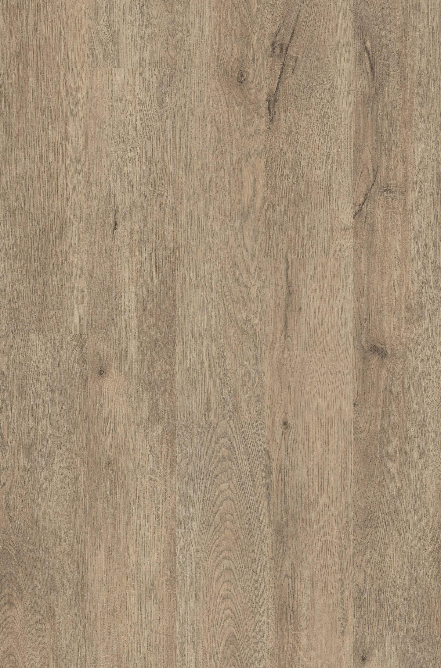 Shaw Perennial Dublin Brown 6-mil x 6-in W x 48-in L Waterproof Glue Down Luxury Vinyl Plank Flooring (53.93-sq ft/ Carton)