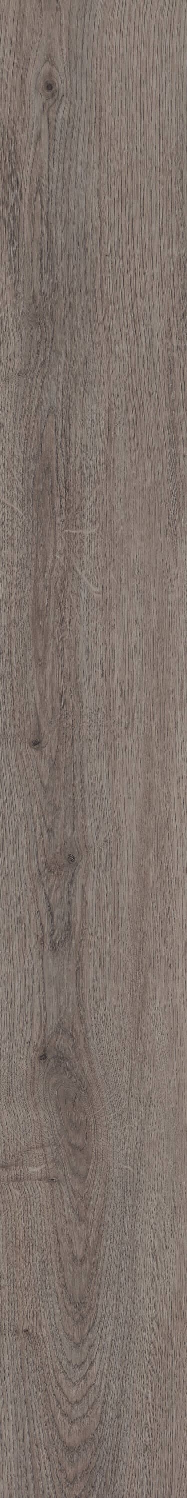 Shaw Perennial Brisbane Gray 6-mil x 6-in W x 48-in L Waterproof Glue Down Luxury Vinyl Plank Flooring (53.93-sq ft/ Carton)