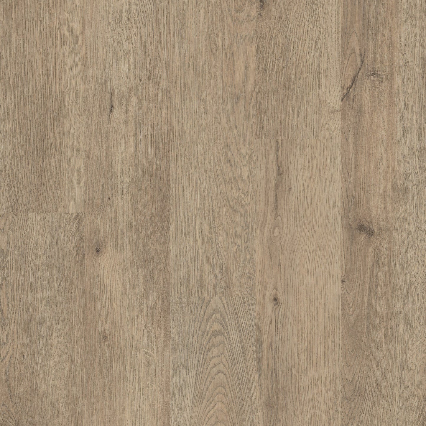 Shaw Perennial Dublin Brown 6-mil x 6-in W x 48-in L Waterproof Glue Down Luxury Vinyl Plank Flooring (53.93-sq ft/ Carton)