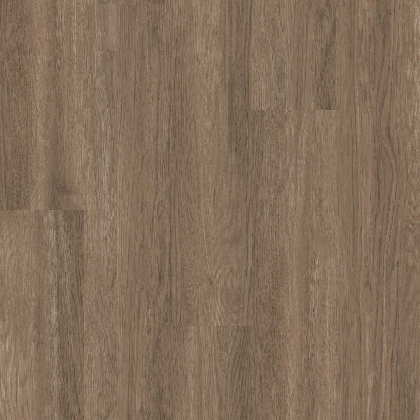 Shaw Perennial Peachtree Street Brown 6-mil x 6-in W x 48-in L Waterproof Glue Down Luxury Vinyl Plank Flooring (53.93-sq ft/ Carton)