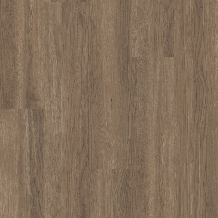 Shaw Perennial Peachtree Street Brown 6-mil x 6-in W x 48-in L Waterproof Glue Down Luxury Vinyl Plank Flooring (53.93-sq ft/ Carton)