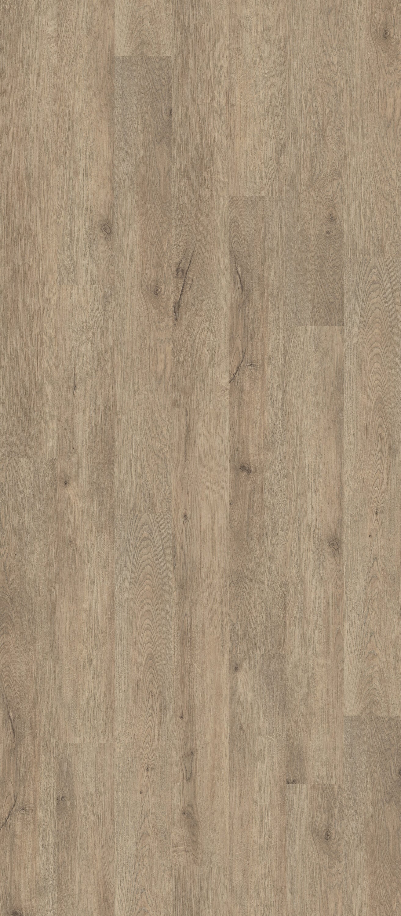 Shaw Perennial Dublin Brown 6-mil x 6-in W x 48-in L Waterproof Glue Down Luxury Vinyl Plank Flooring (53.93-sq ft/ Carton)