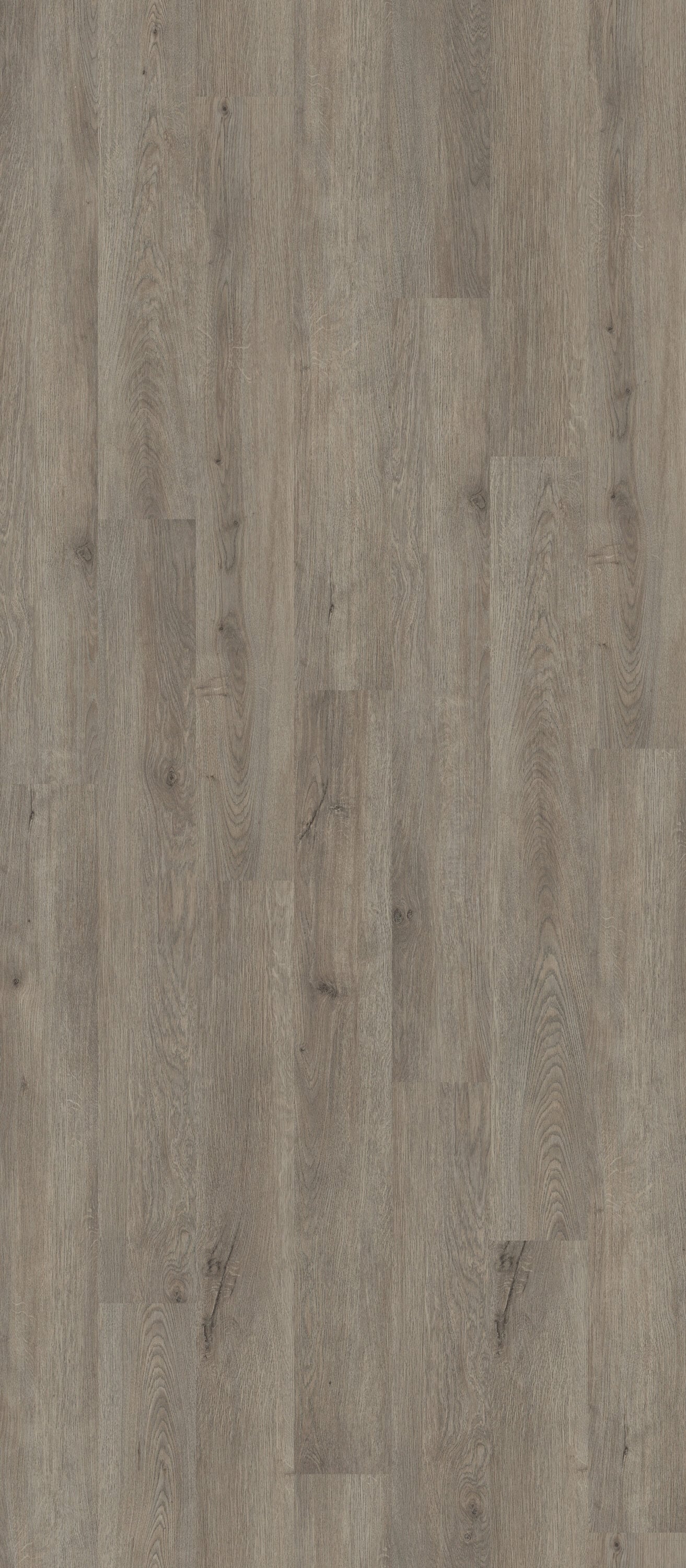 Shaw Perennial Brisbane Gray 6-mil x 6-in W x 48-in L Waterproof Glue Down Luxury Vinyl Plank Flooring (53.93-sq ft/ Carton)
