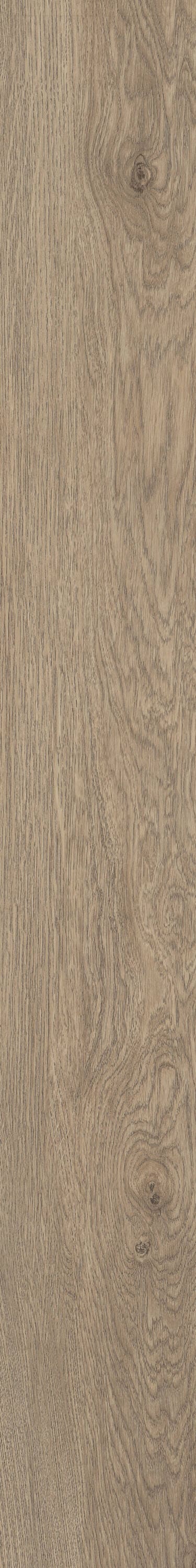 Shaw Perennial Dublin Brown 6-mil x 6-in W x 48-in L Waterproof Glue Down Luxury Vinyl Plank Flooring (53.93-sq ft/ Carton)