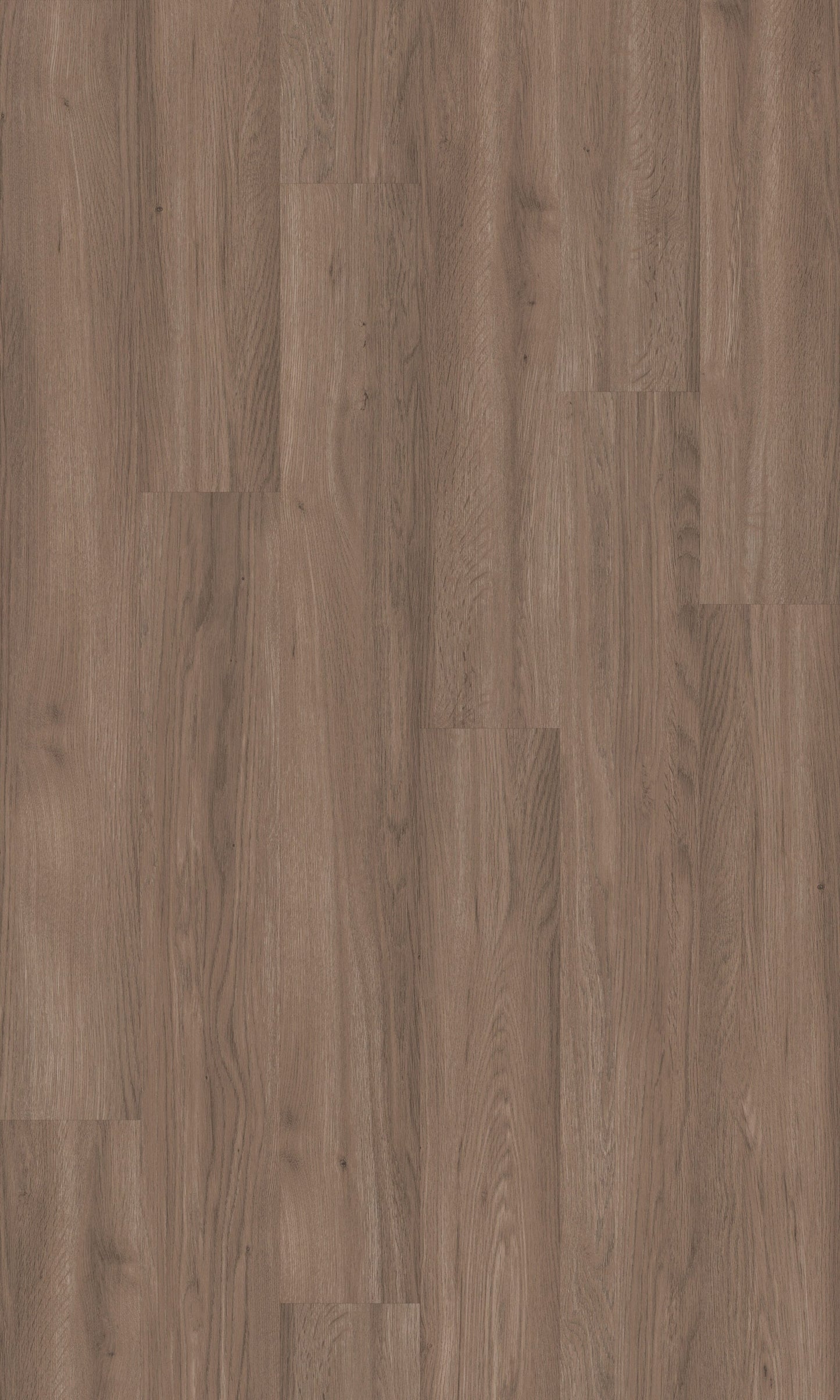 Shaw Perennial Peachtree Street Brown 6-mil x 6-in W x 48-in L Waterproof Glue Down Luxury Vinyl Plank Flooring (53.93-sq ft/ Carton)
