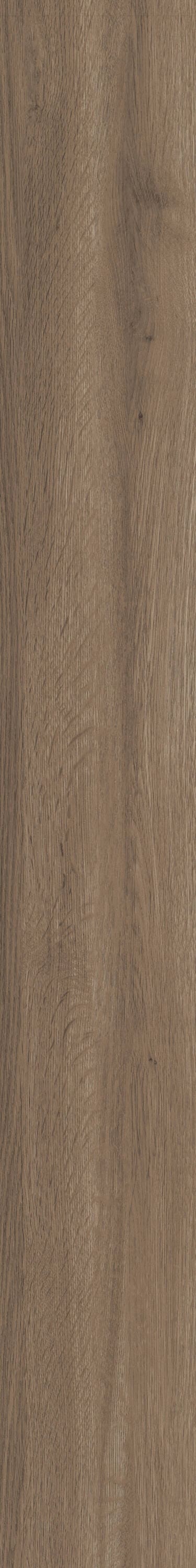 Shaw Perennial Peachtree Street Brown 6-mil x 6-in W x 48-in L Waterproof Glue Down Luxury Vinyl Plank Flooring (53.93-sq ft/ Carton)