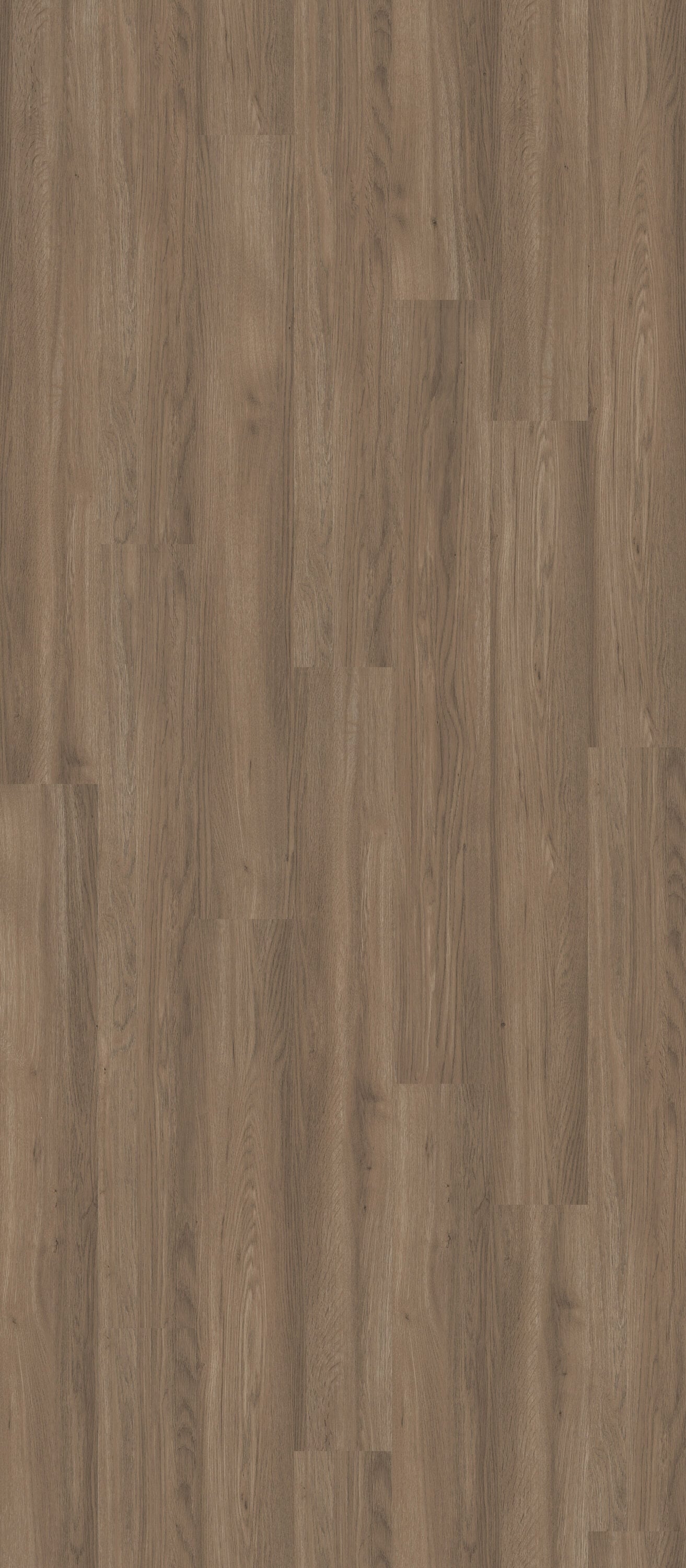 Shaw Perennial Peachtree Street Brown 6-mil x 6-in W x 48-in L Waterproof Glue Down Luxury Vinyl Plank Flooring (53.93-sq ft/ Carton)