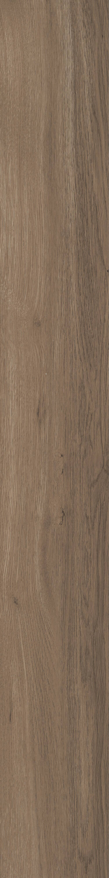 Shaw Perennial Peachtree Street Brown 6-mil x 6-in W x 48-in L Waterproof Glue Down Luxury Vinyl Plank Flooring (53.93-sq ft/ Carton)