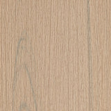 Trex (Sample) Transcend Lineage 12-in Carmel