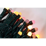 Bundle - 200 Light 8 mm Mini Globe Multi-Color LED String Light with Wireless Smart Control + 200 Light Add-on - Super Arbor