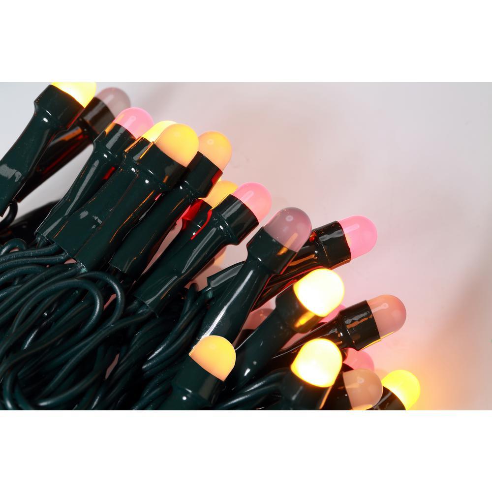 200 Light 8 mm Mini Globe Multi Color LED Lights with Wireless Smart Control - Super Arbor
