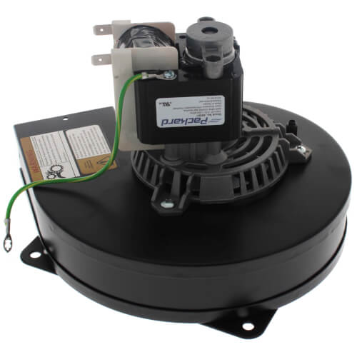 Packard 66501 inducer motor - front view (Voltage: 115V; Horse Power: 1/30)