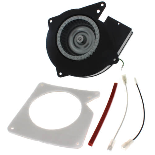 Packard 66501 inducer motor - side view (Voltage: 115V; Horse Power: 1/30)