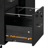 Winado Black 4-Drawer 40.95-in File Cabinet