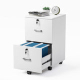 Winado White 2-Drawer 15.75-in File Cabinet