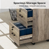 Winado Grey Oak 2-Drawer 15.75-in File Cabinet