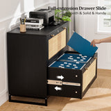 Winado Black 2-Drawer 29.53-in File Cabinet