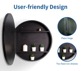 WELLFOR AO 24-in x 24-in Surface Mount Black Mirrored Round Medicine Cabinet