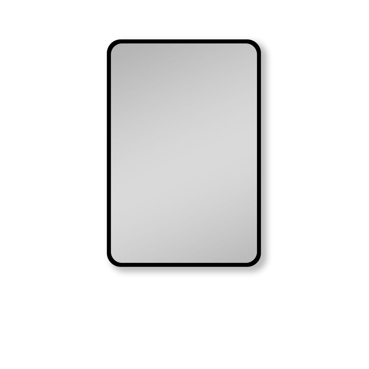 WELLFOR 24-in x 30-in Surface/Recessed Mount Black Mirrored Medicine Cabinet