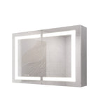 WELLFOR 36-in x 24-in Lighted LED Fog Free Surface Mount Silver Mirrored Soft Close Medicine Cabinet